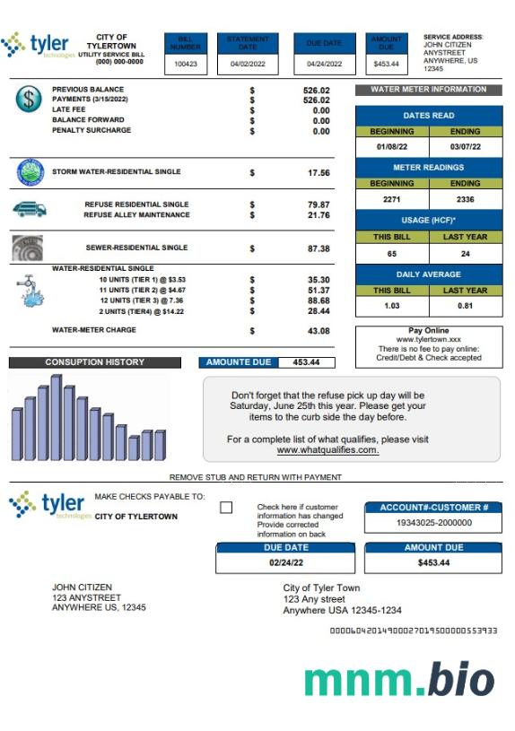 USA Tyler Technologies rachunek za media szablon w formacie Word i PDF